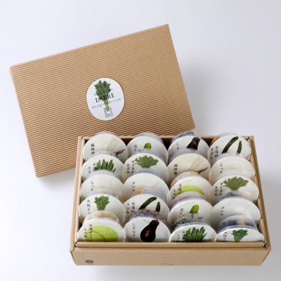 乳酸菌ラブレ20g 20日間セット