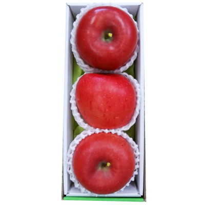 新潟県 糖度13度以上の梨 3玉(h1250494)｜フード(食品・スイーツ