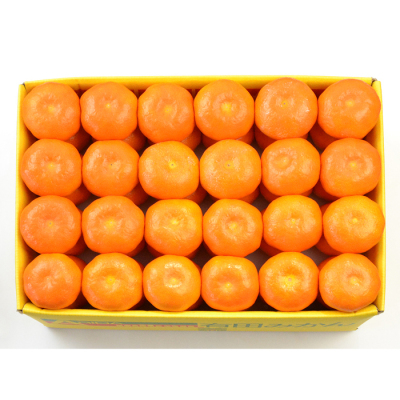 有田みかん(h1250620)｜フード(食品・スイーツ)｜阪急百貨店公式通販