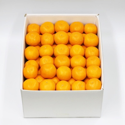 和歌山県 田村みかん(10kg S～Lサイズ)