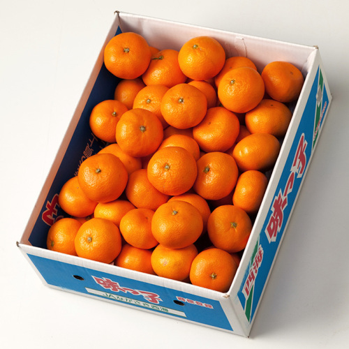 長崎県産 JAながさき西海 させぼ温州みかん(味っ子)【糖度13度