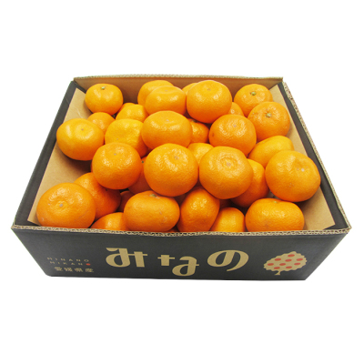 専用⭐みかん❤超暖かWボア❤特大ブランケット⭐プレミアム…バンビ♥ ヤマニパッケージ L-2505 イラストみかん 手提60 255×178×130 箱