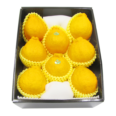 鹿児島県産 デコポン(大将季）