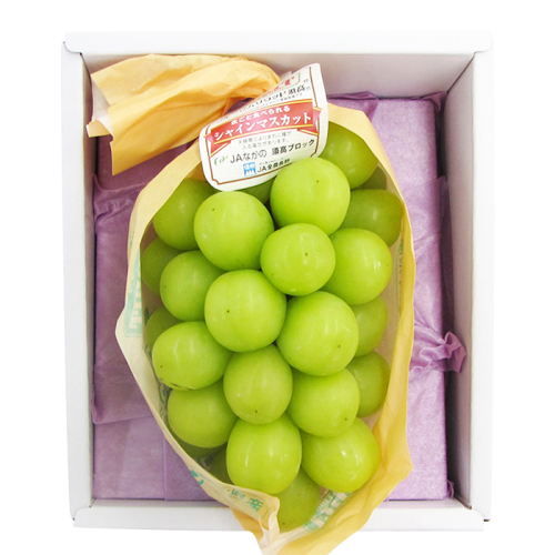 マスカット シャインマスカット2房（合計1kg以上）【出荷時期：9月下旬より