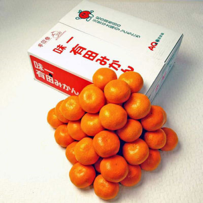 田村みかん 2.5kg(h1250678)｜フード(食品・スイーツ)｜阪急百貨店公式