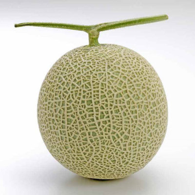 熊本県 アールスメロン 1玉