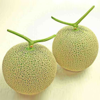 熊本県 アールスメロン 2玉
