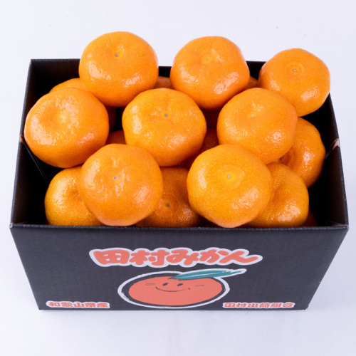 田村みかん 2.5kg(h1250678)｜フード(食品・スイーツ)｜阪急百貨店公式