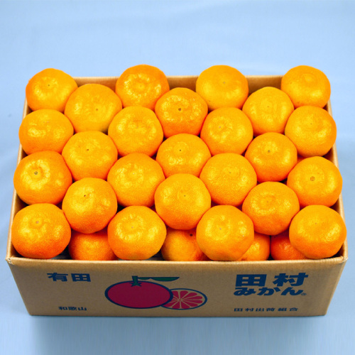 田村みかん 4.5kg(h1250679)｜フード(食品・スイーツ)｜阪急百貨店公式