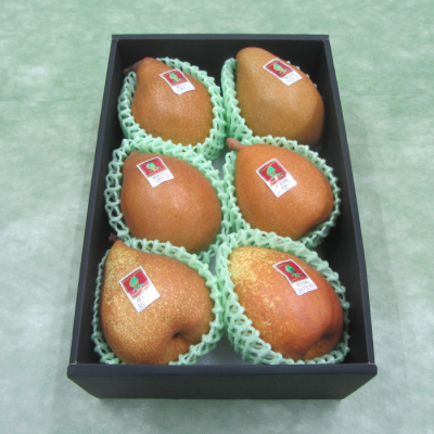 青森県 JA八戸 三戸営農センター ゼネラル・レクラーク