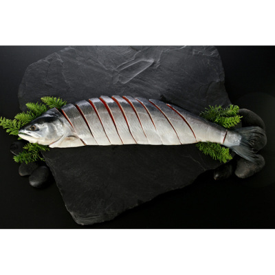 紅鮭半身姿切身