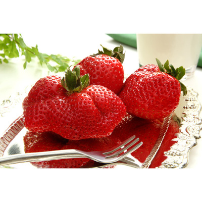 福岡県 あまおう苺(訳あり)