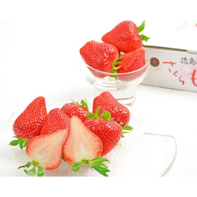 徳島県 さくらももいちご 16～28粒