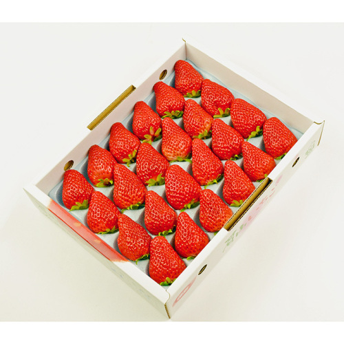 徳島県眉山 紅ほっぺいちご 16～28粒(h1260109)｜フード(食品