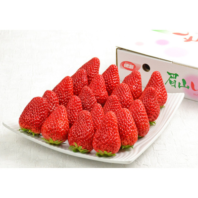 徳島県眉山 紅ほっぺいちご 16～28粒