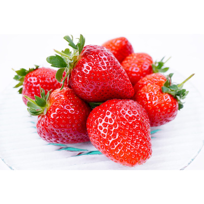 徳島県 枝付さちのかいちご 1.2kg