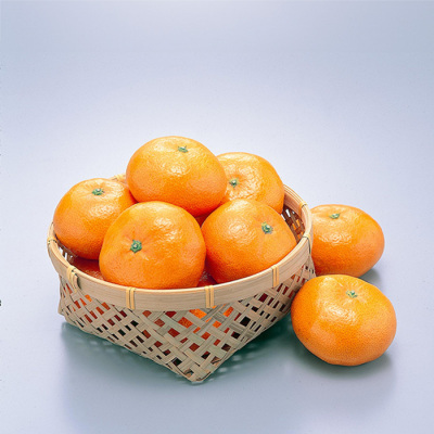 和歌山県 蔵出しみかん 3kg