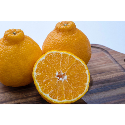 どげんかせんとみかん 3種の食べ比べ(8個入り)