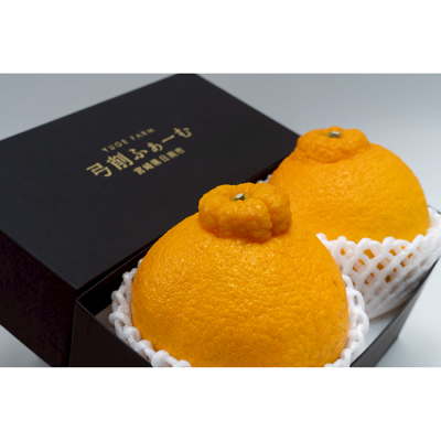 ユゲポン 2個入