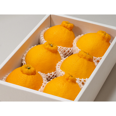 ユゲポン 6個入