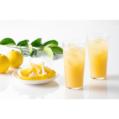 日向夏ストレートジュース500mlパウチ 3本セット