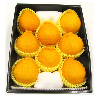 熊本県産 果実連 デコポン