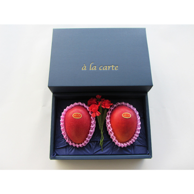 宮崎県産完熟マンゴー2玉(600g)