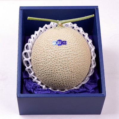 高知県・マスクメロン