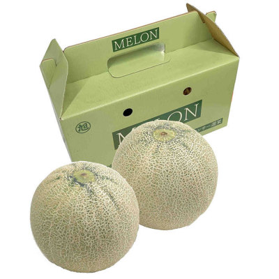 茨城県産 旭村 メロン2玉