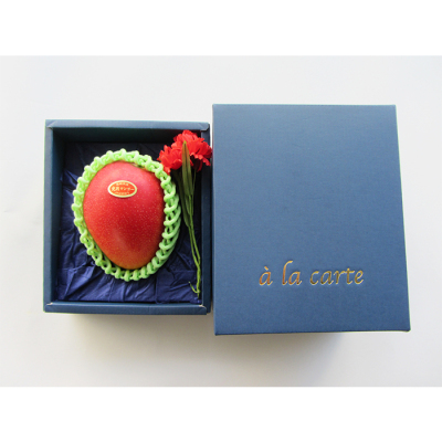 宮崎県産完熟マンゴー1玉(300g)