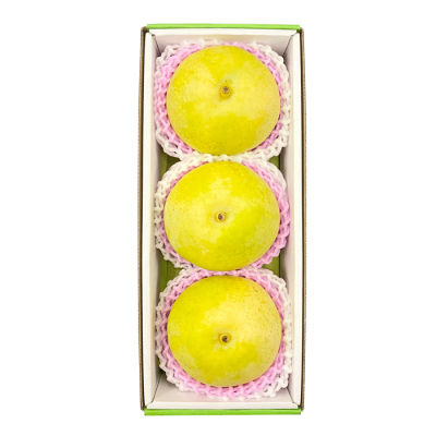 鳥取県 二十世紀梨 3玉