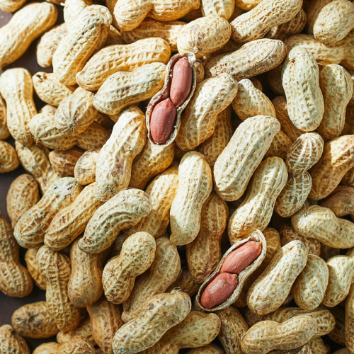 ドレ・殻付きピーナッツ 300g(h2210106)｜フード(食品・スイーツ