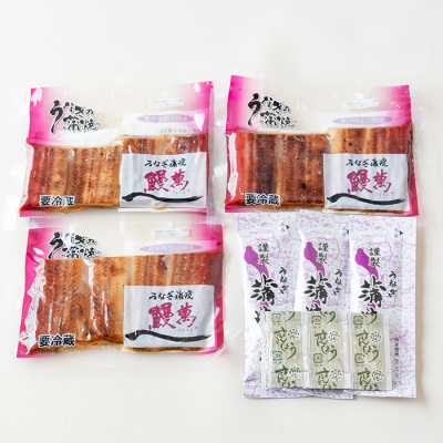 うなぎ蒲焼真空パック3人前セット