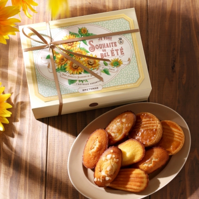 夏のガトー BOX〈ひまわり〉12個入