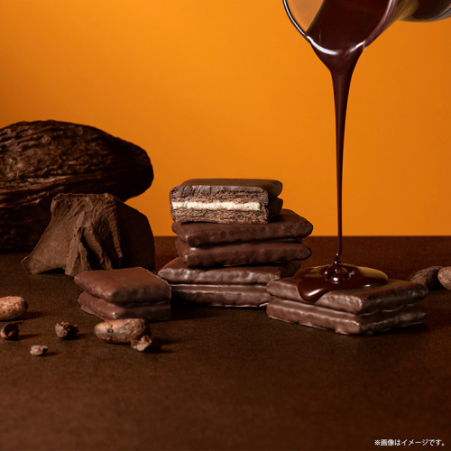 シュガーバターの木 炭火ショコラがけサンド 8個入(h5252241)｜フード