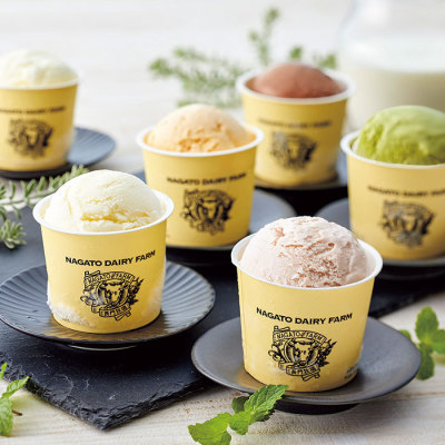 アイスクリーム10個セット