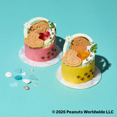 スヌーピーケーキ2個セット＜8月13日受け取り＞