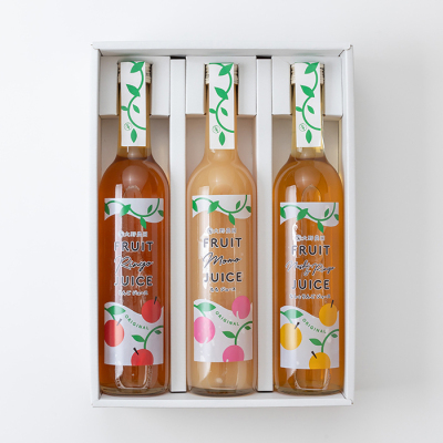 フルーツジュース500ml 3本セットB