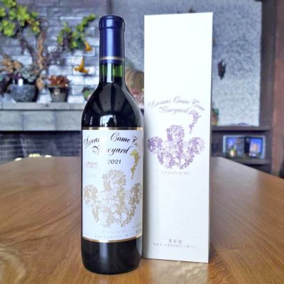 北海道池田町 十勝ワイン DREAMS COME TRUE VINEYARD 山幸種＜10月6日受け取り＞