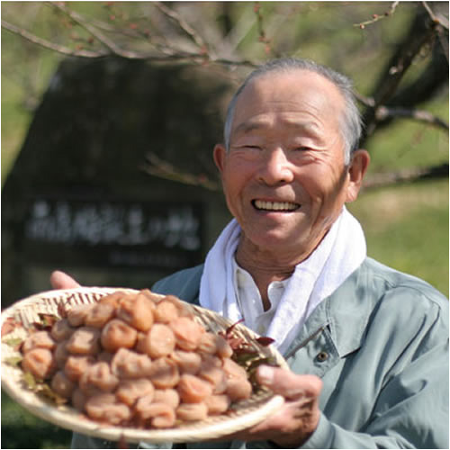 有機JAS認定 高田の梅 「昔ながらのしそ梅干」(h8170192)｜フード(食品