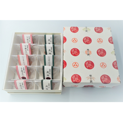 ＜縁起山海＞山海うめ 十個入