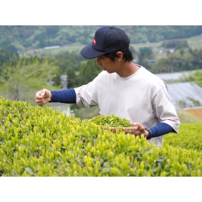 「鈴木製茶」新城ほうじ茶と森の素材の香りを楽しむセミナー＜10月29日午前11時開催＞