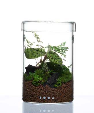 ガラスポット MARU  ワークショップチケット