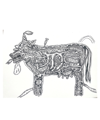 Nature Drawing 03