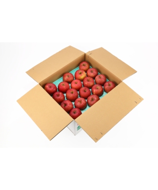 樹上完熟葉とらずサンふじ（家庭用）10キロ