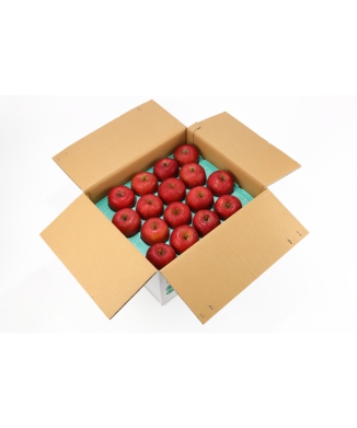 樹上完熟葉とらずサンふじ（ギフト用）10キロ