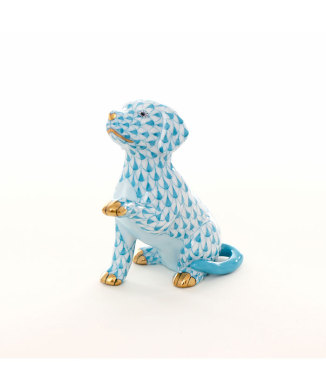 オリコウパピー（ターコイズ）