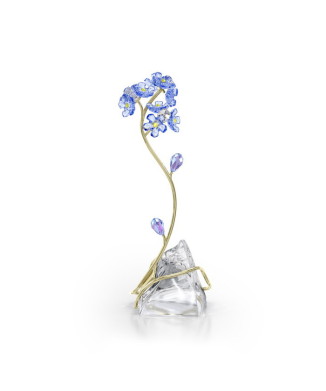 Florere忘れな草