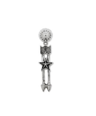 Parallel Arrows w/ Star Earring