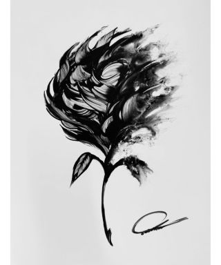 九谷焼 渡辺俊明 絵付け 茶器セット 急須 湯呑ペア 直筆 共箱 煎茶具 九谷焼 渡辺俊明 絵付け 茶器セット 急須 湯呑ペア 直筆 共箱 煎茶具